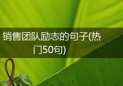 销售团队励志的句子(热门50句)