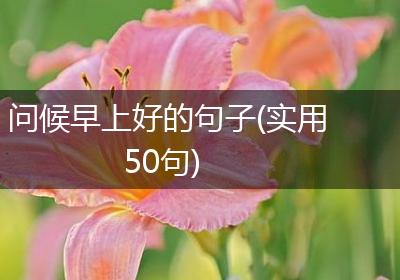 问候早上好的句子(实用50句)