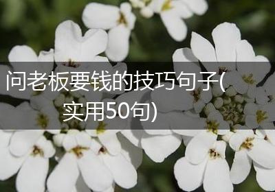 问老板要钱的技巧句子(实用50句)