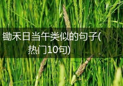 锄禾日当午类似的句子(热门10句)