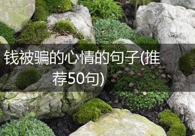 钱被骗的心情的句子(推荐50句)