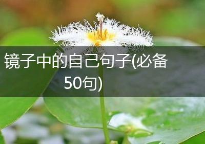 镜子中的自己句子(必备50句)