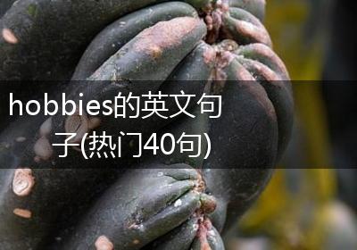 hobbies的英文句子(热门40句)