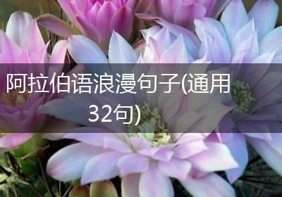 阿拉伯语浪漫句子(通用32句)