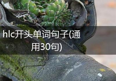 hlc开头单词句子(通用30句)