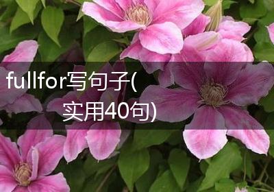fullfor写句子(实用40句)