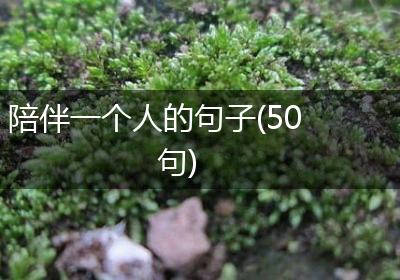 陪伴一个人的句子(50句)
