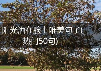 阳光洒在脸上唯美句子(热门50句)