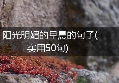 阳光明媚的早晨的句子(实用50句)