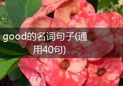 good的名词句子(通用40句)
