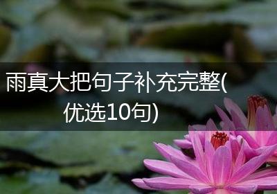 雨真大把句子补充完整(优选10句)