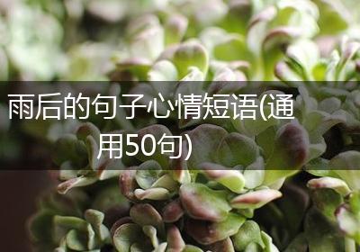雨后的句子心情短语(通用50句)
