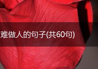 难做人的句子(共60句)