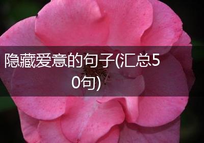 隐藏爱意的句子(汇总50句)
