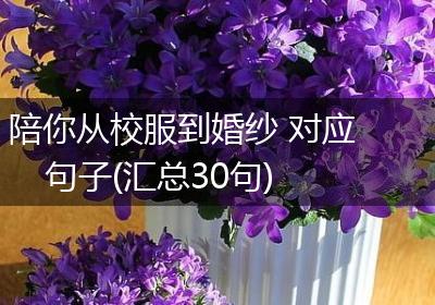 陪你从校服到婚纱 对应句子(汇总30句)