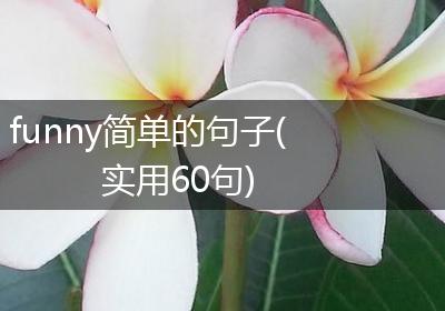 funny简单的句子(实用60句)