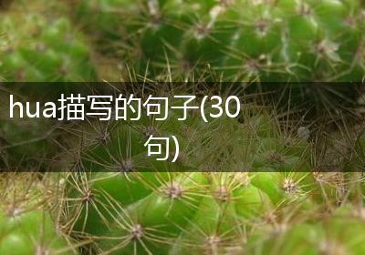 hua描写的句子(30句)