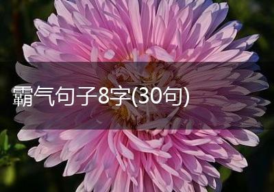 霸气句子8字(30句)