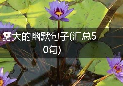 雾大的幽默句子(汇总50句)