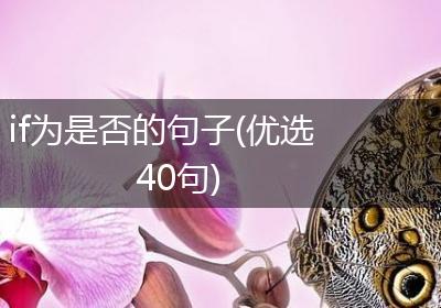 if为是否的句子(优选40句)