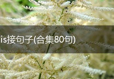is接句子(合集80句)