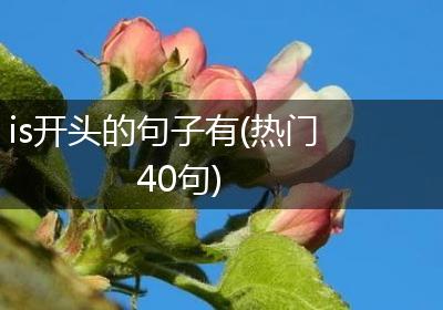 is开头的句子有(热门40句)