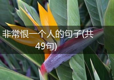 非常恨一个人的句子(共49句)