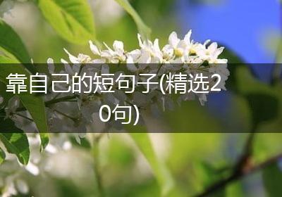 靠自己的短句子(精选20句)