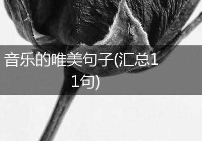 音乐的唯美句子(汇总11句)