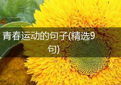 青春运动的句子(精选9句)