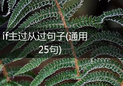 if主过从过句子(通用25句)