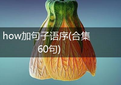 how加句子语序(合集60句)