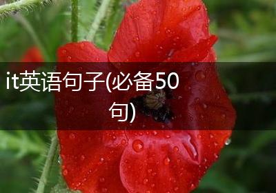 it英语句子(必备50句)