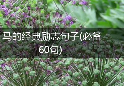 马的经典励志句子(必备60句)