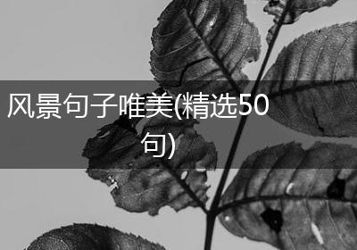 风景句子唯美(精选50句)