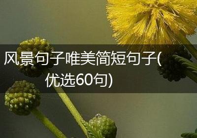 风景句子唯美简短句子(优选60句)