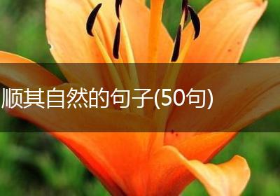 顺其自然的句子(50句)