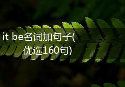 it be名词加句子(优选160句)