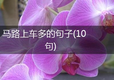马路上车多的句子(10句)