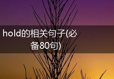hold的相关句子(必备80句)