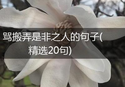 骂搬弄是非之人的句子(精选20句)