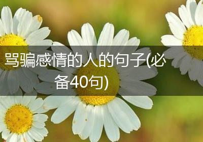 骂骗感情的人的句子(必备40句)