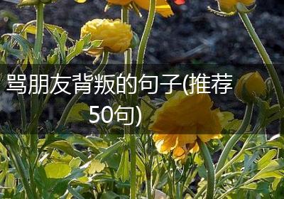 骂朋友背叛的句子(推荐50句)