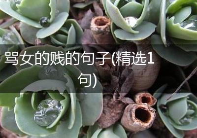 骂女的贱的句子(精选1句)