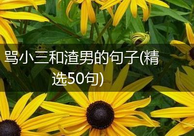 骂小三和渣男的句子(精选50句)