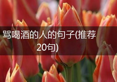 骂喝酒的人的句子(推荐20句)