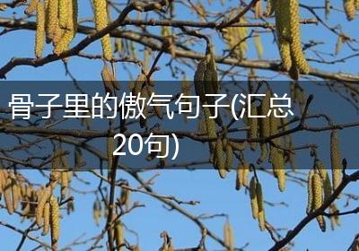 骨子里的傲气句子(汇总20句)