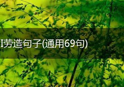 I劳造句子(通用69句)