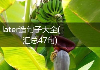 later造句子大全(汇总47句)