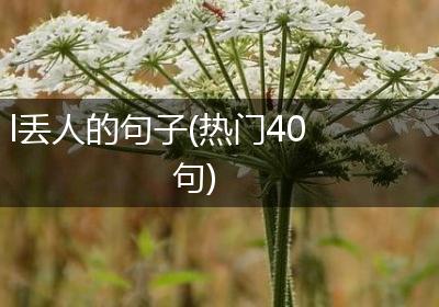 l丢人的句子(热门40句)
